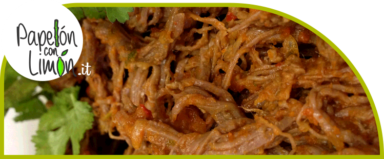 Shredded Beef